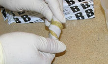 Load image into Gallery viewer, Epoxy Putty | 16oz