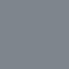 Load image into Gallery viewer, Top Coat | Flat Gray - Quart
