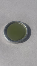 Load and play video in Gallery viewer, Engine Enamel - Pint | Austin Healey Green
